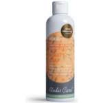 ALODIS CARE BEAUTY SOAP Šampon 0,25 kg
