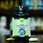 G&G Vitamins SUPER ANTIOXIDANT PLUS 60 kapslí – Hledejceny.cz