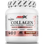 Amix Collagen Viscofan vanilla 300 g – Hledejceny.cz