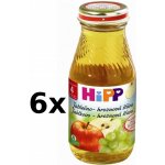 HiPP BIO Jablečno-hroznová 6 x 200 ml – Hledejceny.cz