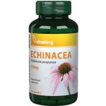 Vitaking Echinacea Purpurea 250 mg 90 kapslí – Hledejceny.cz
