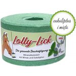 S.I.N. Hellas Lolly Lick zdravé lízátko pro koně Máta a eukalyptus 0,75 kg – Hledejceny.cz