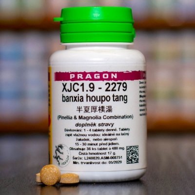 Pragon XJC1.9 - 2279 36 tablet – Hledejceny.cz