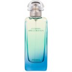 Hermès Un Jardin Aprés La Mousson toaletní voda unisex 100 ml – Hledejceny.cz