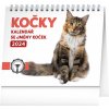 Kalendář Presco Group Stolní Kočky se jmény koček 16,5 × 13 cm 2024