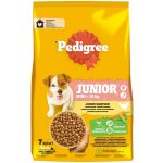 Pedigree Junior Mini s drůbežím masem a zeleninou 7 kg – Hledejceny.cz