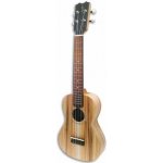 APC CS Concerto Simples APC – Sleviste.cz
