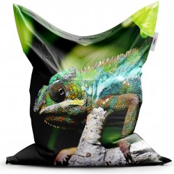 SABLIO Chameleon 200x140 cm