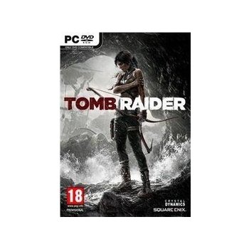 Tomb Raider: Anniversary 