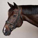 Dy'on Plaited flash Noseband hnědá – Hledejceny.cz