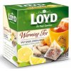 Čaj Loyd HOT Tea zázvor citrón med 20 x 2 g