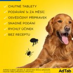 AdTab 56 mg žvýkací tablety pro psy 1,3-2,5 kg 1 tbl – Zboží Mobilmania