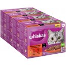 Whiskas 1+ klasický výběr v omáčce 96 x 85 g