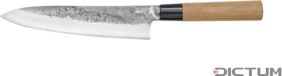 Dictum Japonský nůž Tadafusa Hocho Nashiji Gyuto Fish and Meat Knife 210 mm