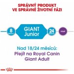 Red Dingo Hypno postroj – Hledejceny.cz