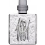 Nino Cerruti 1881 Silver toaletní voda pánská 100 ml – Hledejceny.cz