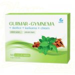 Jukl Gurmar-Gymnema+skořice+kurkuma 60 vega tablet – Hledejceny.cz
