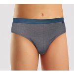 Andrie PS 3452 pánské slipy modrá – Sleviste.cz