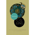 Synchronicity - C.G. Jung – Hledejceny.cz