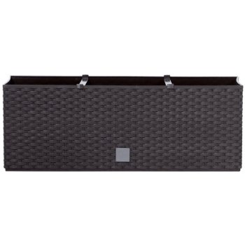 Prosperplast Truhlík RATO CASE umbra 80 cm