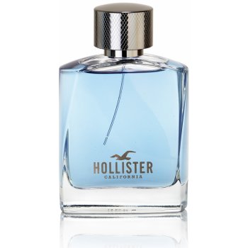 Hollister Wave toaletní voda pánská 100 ml