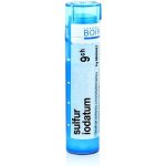 SULFUR IODATUM POR 9CH GRA 4G – Hledejceny.cz