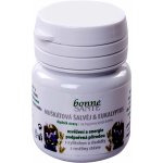 Bonne Santé Šalvěj a eukalyptus 7 g – Hledejceny.cz