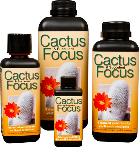 Growth Technology Cactus Focus 300 ml
