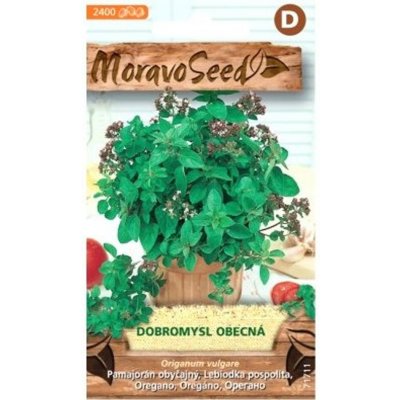 Semínka MoravoSeed Dobromysl obecná - oregano 71711 – Hledejceny.cz