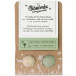 Blossombs Semínkové bomby - Drobný dáreček (2 ks) – HobbyKompas.cz