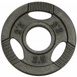 Gorilla Sports litina 1,25 kg 30/31 mm – Hledejceny.cz
