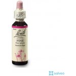 Nelsons Pine 20 ml Bachovky č.24 – Hledejceny.cz