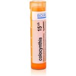 COLOCYNTHIS POR 15CH GRA 1X4G – Hledejceny.cz