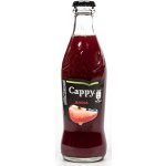 Cappy Jahoda vratné sklo 24 x 250 ml – Zboží Dáma