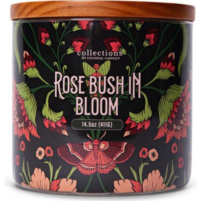 Colonial Candle Deco Collection Rose Bush In Bloom 411 g – Zboží Mobilmania