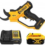 DeWALT DCMPP568P1 – Zboží Dáma