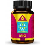 Bewit Prawtein Mig 100 ml – Hledejceny.cz