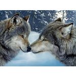 Norimpex Diamantové malování Vlčí souznění 30 x 40 cm – Sleviste.cz