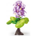 Pontec PondoHyacinth Blooming – Zboží Dáma