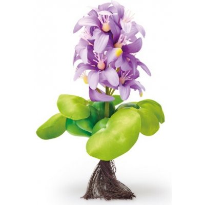 Pontec PondoHyacinth Blooming – Zboží Dáma