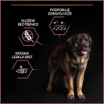 Purina Pro Plan Large Adult Athletic Sensitive Skin losos 14 kg – Sleviste.cz