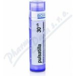 PULSATILLA POR 30CH GRA 4G – Hledejceny.cz