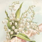 Skona Ting Papírový ubrousek Pastel Spring Lily Of The Valley – Hledejceny.cz