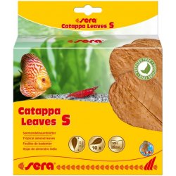 Sera Catappa Leaves S 14 cm, 10 ks