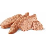 Royal Canin Veterinary Diet Adult Dog Gastrointestinal High Fibre 200 g – Zboží Mobilmania