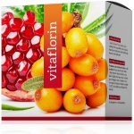 Energy Vitaflorin přírodní Multivitaminový přípravek 90 kapslí – Hledejceny.cz