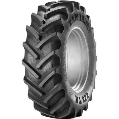 BKT Agrimax RT 855 480/80-50 176A8/173B TL – Hledejceny.cz