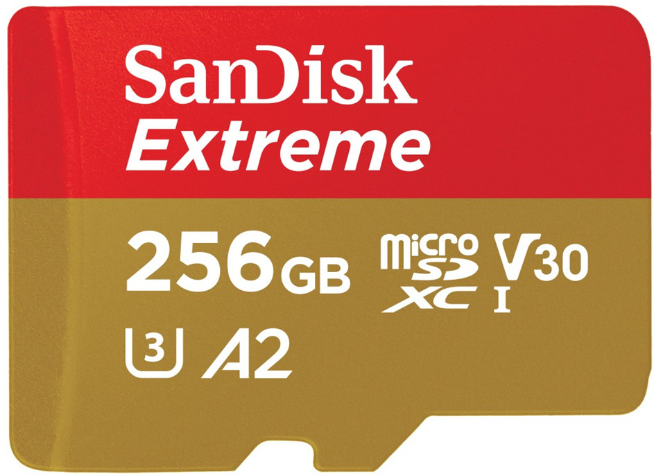 SanDisk microSDXC UHS-I U3 256 GB SDSQXAV-256G-GN6MA