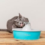 PetSafe Butterfly Fontánka 1,5 l – Zboží Mobilmania