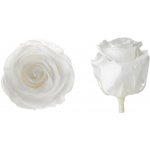 Hlavy růží - princess 16 ks White - bílá – Hledejceny.cz